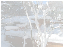 西の河原露天風呂