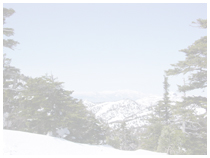 標高2000mからの眺め